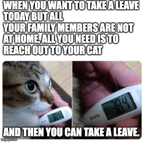 WHEN YOU WANT TO TAKE A LEAVE 
TODAY BUT ALL 
YOUR FAMILY MEMBERS ARE NOT 
AT HOME, ALL YOU NEED IS TO 
REACH OUT TO YOUR CAT; AND THEN YOU CAN TAKE A LEAVE. | made w/ Imgflip meme maker