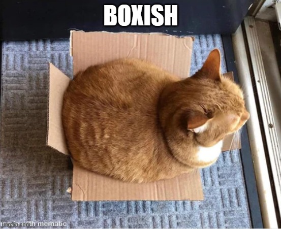 meme by Brad cat sort of in a box | BOXISH | image tagged in cat meme | made w/ Imgflip meme maker