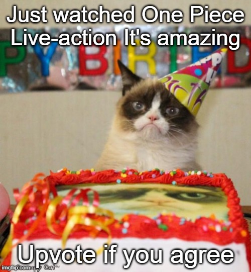 Grumpy Cat Birthday | Just watched One Piece Live-action It's amazing; Upvote if you agree | image tagged in memes,grumpy cat birthday,grumpy cat | made w/ Imgflip meme maker