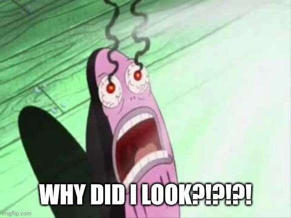 My Eyes | WHY DID I LOOK?!?!?! | image tagged in my eyes | made w/ Imgflip meme maker