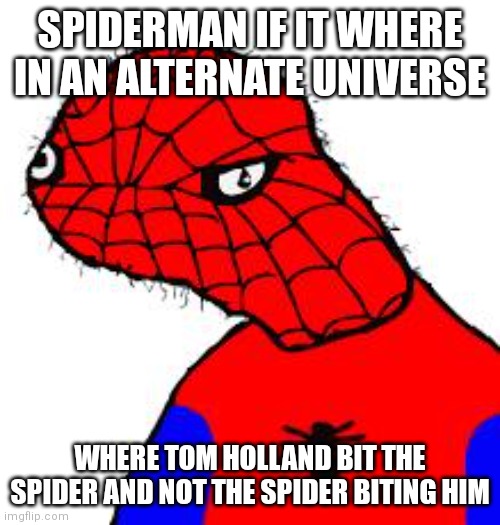 Poor guy... | SPIDERMAN IF IT WHERE IN AN ALTERNATE UNIVERSE; WHERE TOM HOLLAND BIT THE SPIDER AND NOT THE SPIDER BITING HIM | image tagged in spooderman,memes,i'm sorry | made w/ Imgflip meme maker