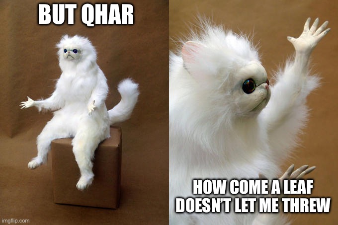 Persian Cat Room Guardian Meme | BUT QHAR HOW COME A LEAF DOESN’T LET ME THREW | image tagged in memes,persian cat room guardian | made w/ Imgflip meme maker