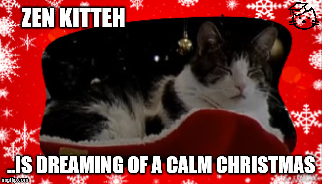 Custard The Christmas Cat | image tagged in kittenacademy,fosteringsaveslives,meowychristmas,catmas,funny memes | made w/ Imgflip meme maker