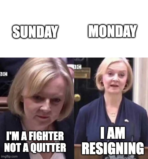 MONDAY; SUNDAY; I AM RESIGNING; I'M A FIGHTER NOT A QUITTER | made w/ Imgflip meme maker