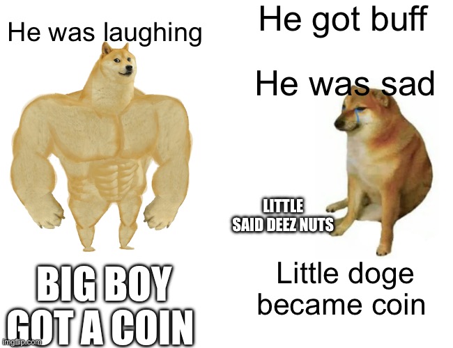 Buff doge vs small doge | He got buff; He was laughing; He was sad; LITTLE SAID DEEZ NUTS; Little doge became coin; BIG BOY GOT A COIN | image tagged in memes,buff doge vs cheems | made w/ Imgflip meme maker