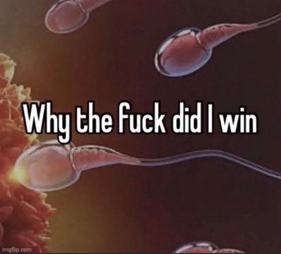 made w/ Imgflip meme maker