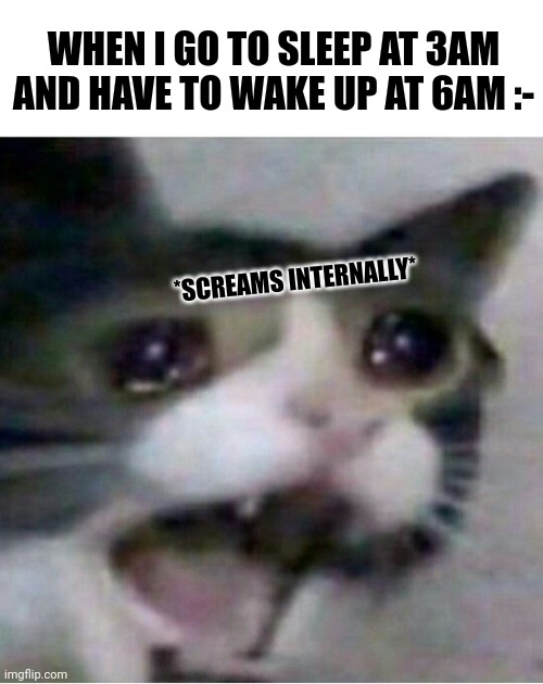 crying cat | WHEN I GO TO SLEEP AT 3AM AND HAVE TO WAKE UP AT 6AM :-; *SCREAMS INTERNALLY* | image tagged in crying cat | made w/ Imgflip meme maker