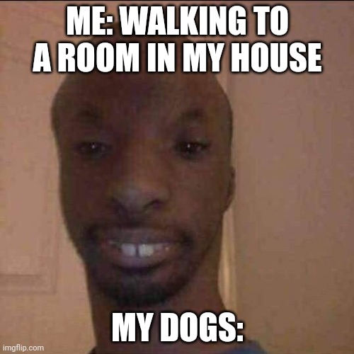They go woof woof | ME: WALKING TO A ROOM IN MY HOUSE; MY DOGS: | image tagged in ayo what u doing,walking,dogs,reaction | made w/ Imgflip meme maker