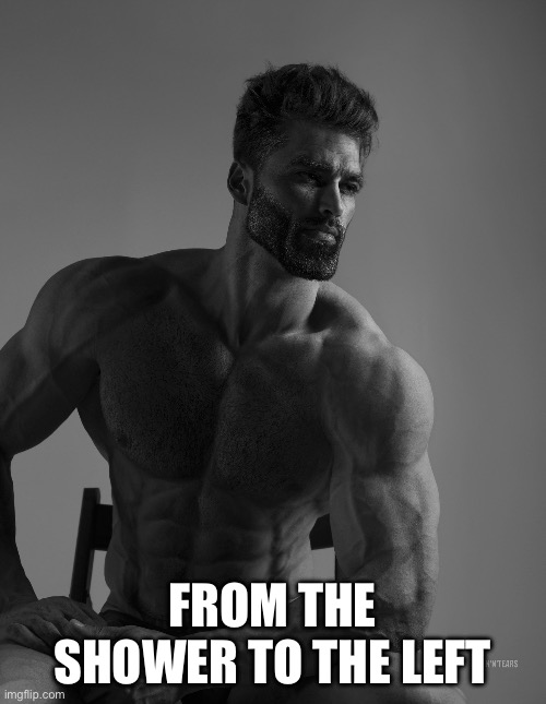 Giga Chad | FROM THE SHOWER TO THE LEFT | image tagged in giga chad | made w/ Imgflip meme maker