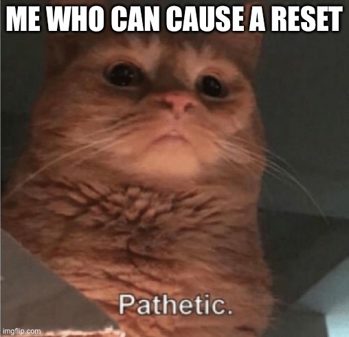 Pathetic Cat | ME WHO CAN CAUSE A RESET | image tagged in pathetic cat | made w/ Imgflip meme maker