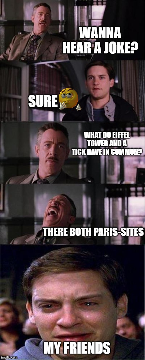 lame dad joke | WANNA HEAR A JOKE? SURE; WHAT DO EIFFEL TOWER AND A TICK HAVE IN COMMON? THERE BOTH PARIS-SITES; MY FRIENDS | image tagged in memes,dad joke,omg,funny,meme,lol | made w/ Imgflip meme maker
