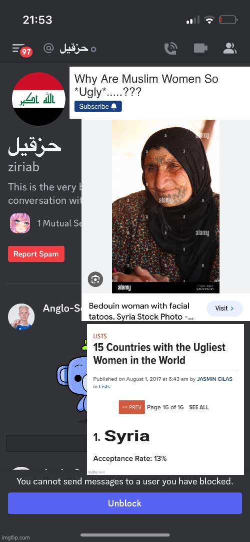 ziriab Arabs Muslim Women Are The Ugliest In The World Mogged | image tagged in arab,women,are,ugly,ugly woman,ugly girl | made w/ Imgflip meme maker