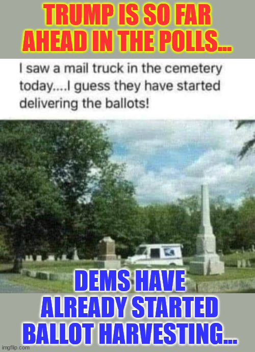 They're panicking.. | TRUMP IS SO FAR AHEAD IN THE POLLS... DEMS HAVE ALREADY STARTED BALLOT HARVESTING... | image tagged in democrats,panic,vote,harvest,start,election fraud | made w/ Imgflip meme maker