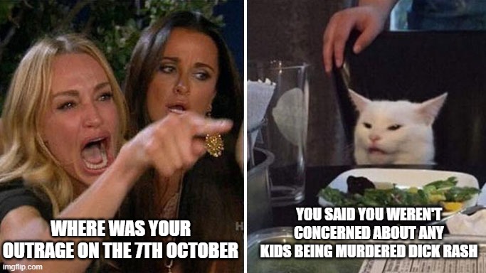 Triggered Angry Cat Woman | WHERE WAS YOUR OUTRAGE ON THE 7TH OCTOBER; YOU SAID YOU WEREN'T CONCERNED ABOUT ANY KIDS BEING MURDERED DICK RASH | image tagged in angry lady cat | made w/ Imgflip meme maker