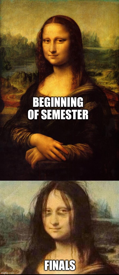 BEGINNING OF SEMESTER; FINALS | image tagged in the mona lisa,college,finals week,finals,sucks,fuck this shit | made w/ Imgflip meme maker