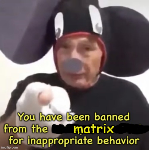 Banned From The Mickey Mouse Club | matrix | image tagged in banned from the mickey mouse club | made w/ Imgflip meme maker