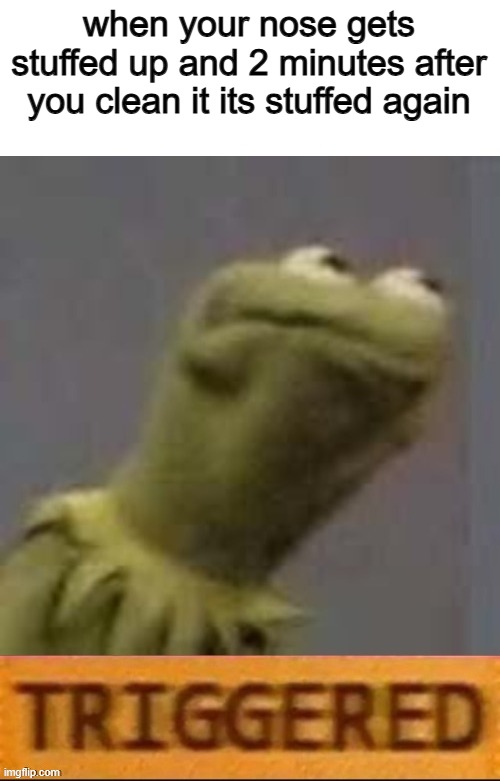 Triggered | when your nose gets stuffed up and 2 minutes after you clean it its stuffed again | image tagged in kermit triggered,funny,memes,funny memes,relatable | made w/ Imgflip meme maker