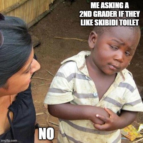 Third World Skeptical Kid | ME ASKING A 2ND GRADER IF THEY LIKE SKIBIDI TOILET; NO | image tagged in memes,third world skeptical kid | made w/ Imgflip meme maker