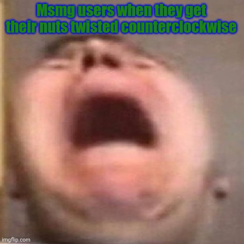 nikocado scream | Msmg users when they get their nuts twisted counterclockwise | image tagged in nikocado scream | made w/ Imgflip meme maker