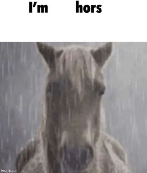 I’m not horsing around anymore | image tagged in i m not horsing around anymore | made w/ Imgflip meme maker