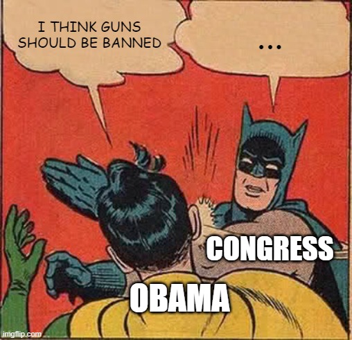 Ban Guns | I THINK GUNS SHOULD BE BANNED; ... CONGRESS; OBAMA | image tagged in memes,batman slapping robin | made w/ Imgflip meme maker