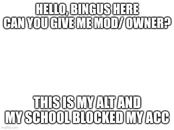 HELLO, BINGUS HERE CAN YOU GIVE ME MOD/ OWNER? THIS IS MY ALT AND MY SCHOOL BLOCKED MY ACC | made w/ Imgflip meme maker