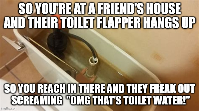 THAT'S TOILET WATER! | SO YOU'RE AT A FRIEND'S HOUSE AND THEIR TOILET FLAPPER HANGS UP; SO YOU REACH IN THERE AND THEY FREAK OUT
 SCREAMING  "OMG THAT'S TOILET WATER!" | image tagged in funny memes,idiots,plumbing | made w/ Imgflip meme maker