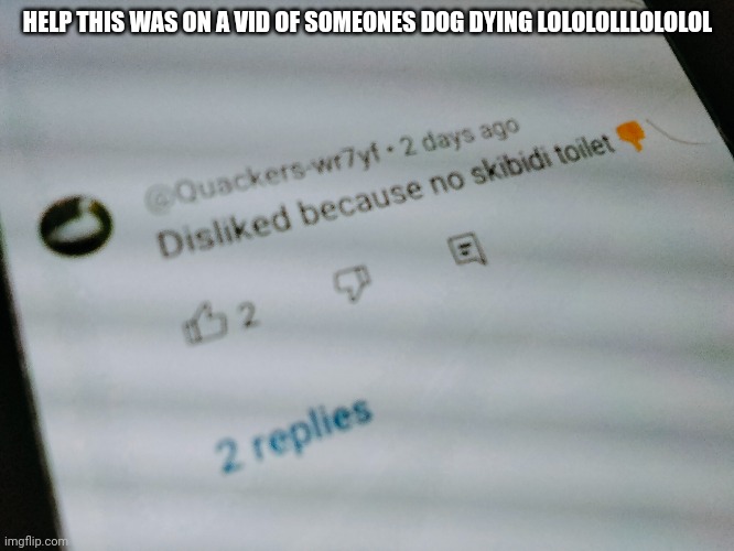 . | HELP THIS WAS ON A VID OF SOMEONES DOG DYING LOLOLOLLLOLOLOL | image tagged in / | made w/ Imgflip meme maker