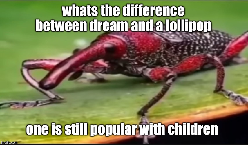 bug | whats the difference between dream and a lollipop; one is still popular with children | image tagged in bug | made w/ Imgflip meme maker