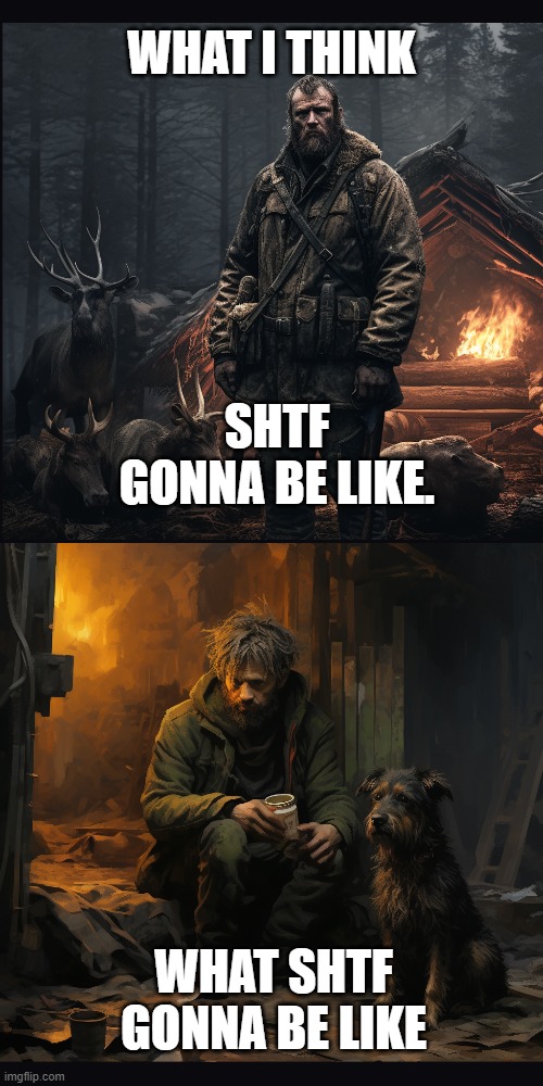 SHTF GONNA BE LIKE | WHAT I THINK; SHTF GONNA BE LIKE. WHAT SHTF GONNA BE LIKE | image tagged in shtf,funny memes,survival,apocalypse | made w/ Imgflip meme maker