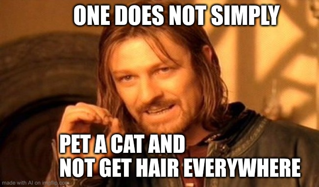 One does not. | ONE DOES NOT SIMPLY; PET A CAT AND NOT GET HAIR EVERYWHERE | image tagged in memes,one does not simply,cats,cat pets | made w/ Imgflip meme maker