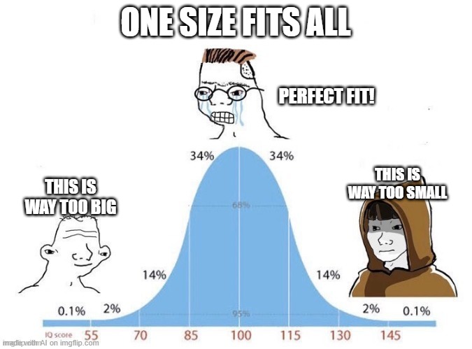hfdtgvjhrdk | ONE SIZE FITS ALL; PERFECT FIT! THIS IS WAY TOO SMALL; THIS IS WAY TOO BIG | image tagged in bell curve,skibidifortnite | made w/ Imgflip meme maker