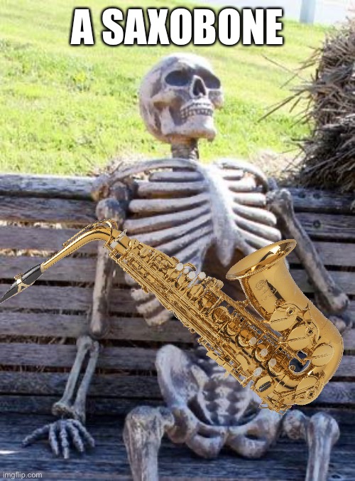 Waiting Skeleton Meme | A SAXOBONE | image tagged in memes,waiting skeleton | made w/ Imgflip meme maker