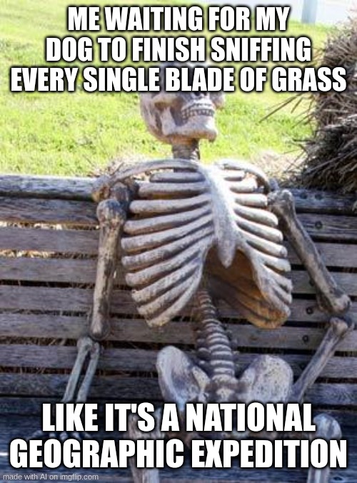 nah bro frfr | ME WAITING FOR MY DOG TO FINISH SNIFFING EVERY SINGLE BLADE OF GRASS; LIKE IT'S A NATIONAL GEOGRAPHIC EXPEDITION | image tagged in memes,waiting skeleton | made w/ Imgflip meme maker
