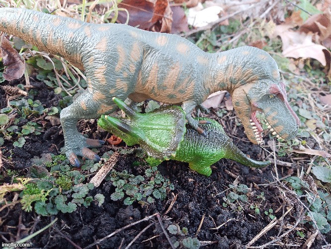 Adult Tyrannosaurus Hunts Sub-Adult Triceratops | image tagged in dinosaur,dinosaurs,dino | made w/ Imgflip meme maker