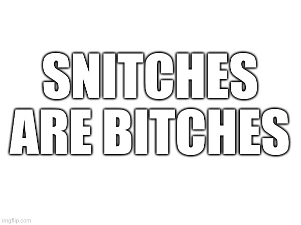 SNITCHES ARE BITCHES | made w/ Imgflip meme maker