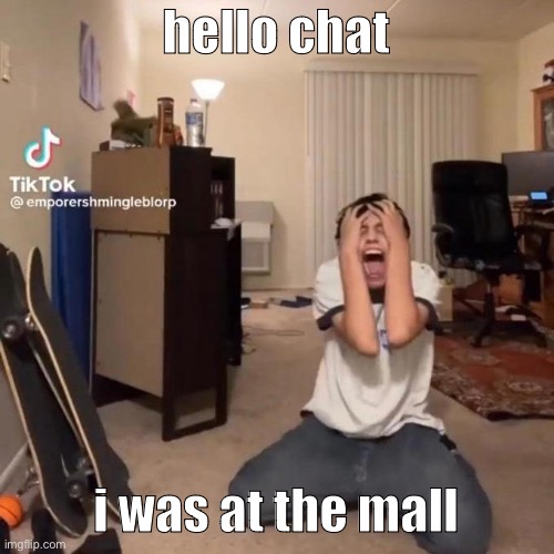 i’m going back in a  couple days | hello chat; i was at the mall | image tagged in me rn | made w/ Imgflip meme maker