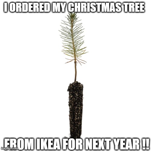 meme by Brad next years Christmas tree from IKEA | I ORDERED MY CHRISTMAS TREE; FROM IKEA FOR NEXT YEAR !! | image tagged in christmas | made w/ Imgflip meme maker