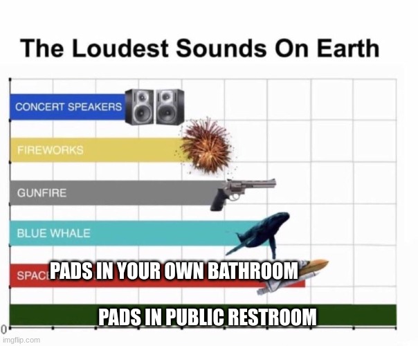 And then the label is like "Tampax stealth" | PADS IN PUBLIC RESTROOM; PADS IN YOUR OWN BATHROOM | image tagged in loudest things | made w/ Imgflip meme maker