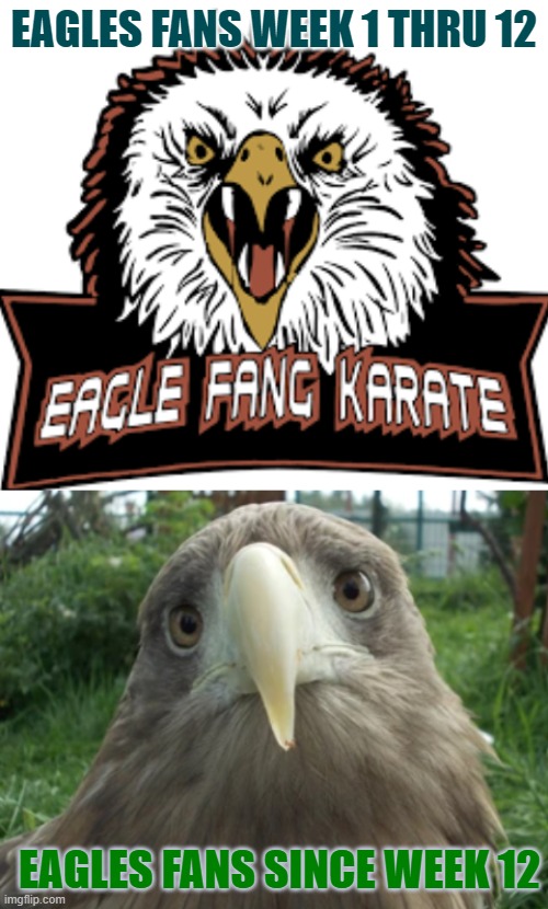 EAGLES FANS WEEK 1 THRU 12; EAGLES FANS SINCE WEEK 12 | image tagged in eagle fang karate | made w/ Imgflip meme maker
