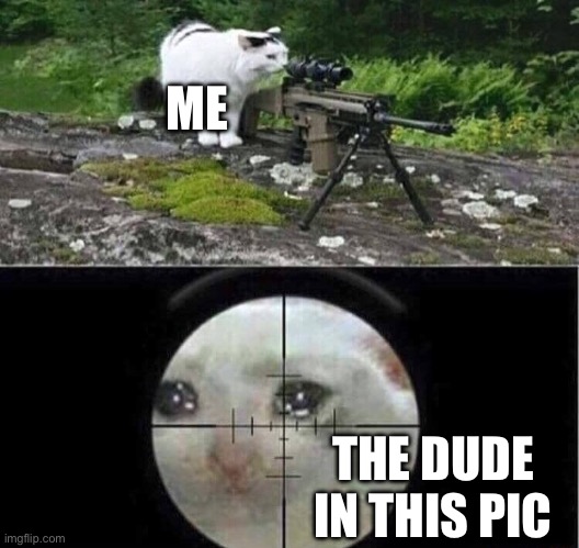 Sniper cat | ME THE DUDE IN THIS PIC | image tagged in sniper cat | made w/ Imgflip meme maker