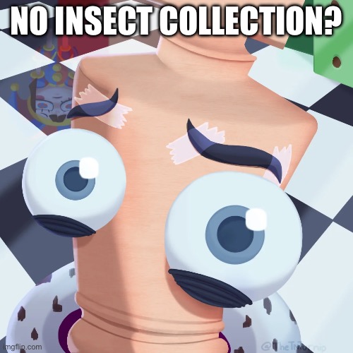 No Kinger? | NO INSECT COLLECTION? | image tagged in no kinger,tadc | made w/ Imgflip meme maker