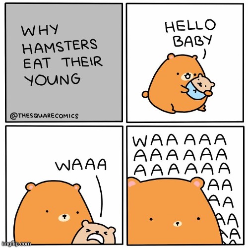Hamsters | image tagged in hamsters,hamster,baby,eat,comics,comics/cartoons | made w/ Imgflip meme maker