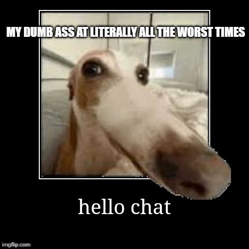 hello chat dog | MY DUMB ASS AT LITERALLY ALL THE WORST TIMES | image tagged in hello chat dog | made w/ Imgflip meme maker