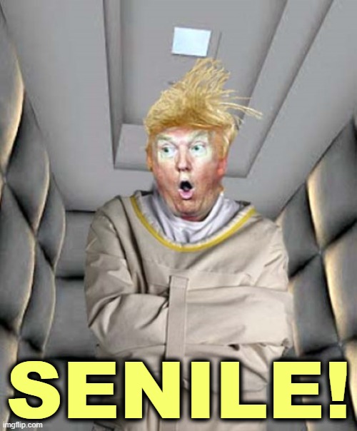 He is not who he was. And he was batsh*t then. | SENILE! | image tagged in trump for insane asylum,trump,senile,dementia,alzheimers | made w/ Imgflip meme maker