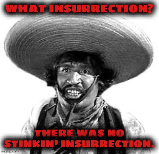 Badges we dont need no stinking badges | WHAT INSURRECTION? THERE WAS NO STINKIN’ INSURRECTION. | image tagged in badges we dont need no stinking badges | made w/ Imgflip meme maker