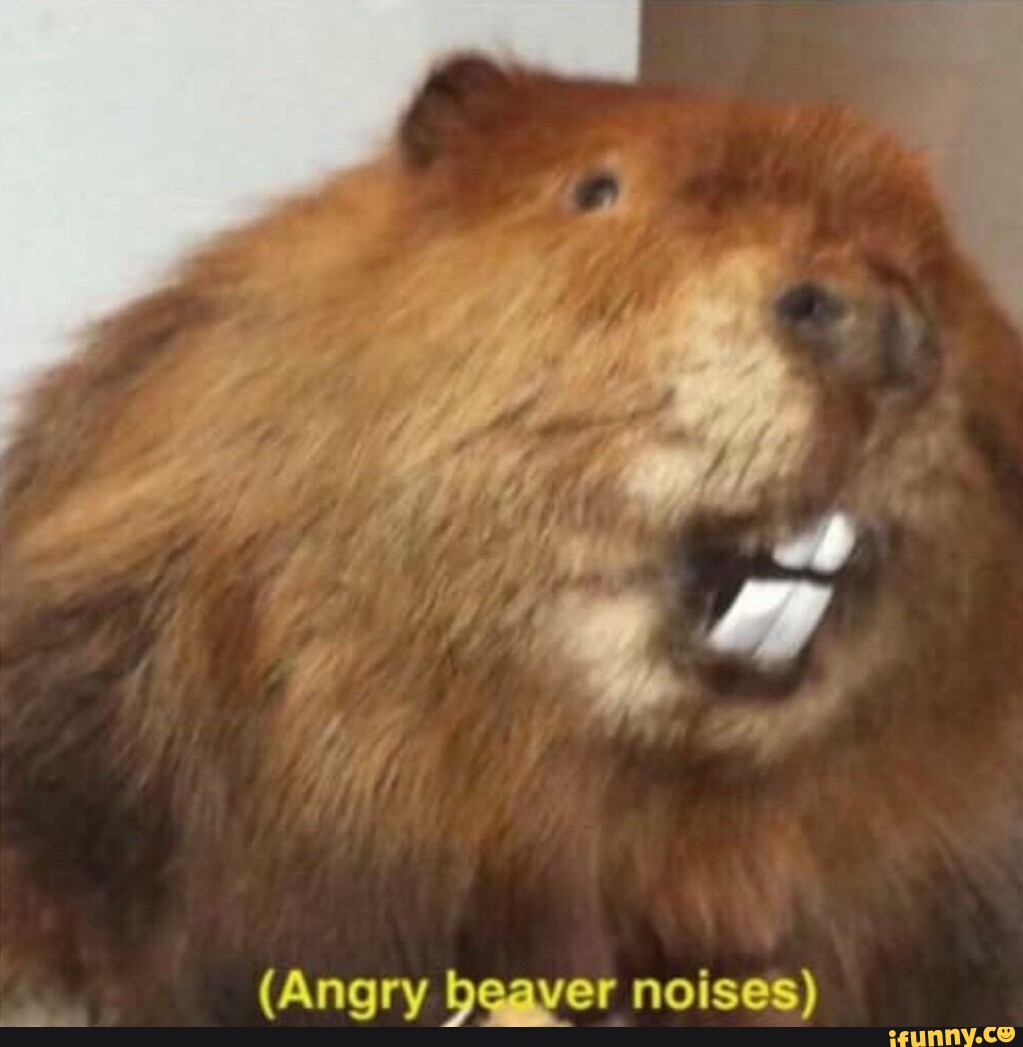 Angry Beaver Noises Blank Meme Template