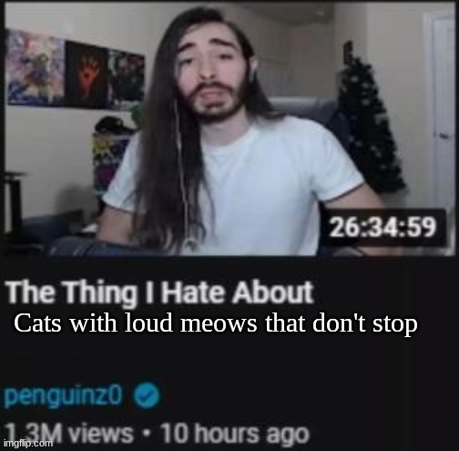 The Thing I Hate About ___ | Cats with loud meows that don't stop | image tagged in the thing i hate about ___ | made w/ Imgflip meme maker
