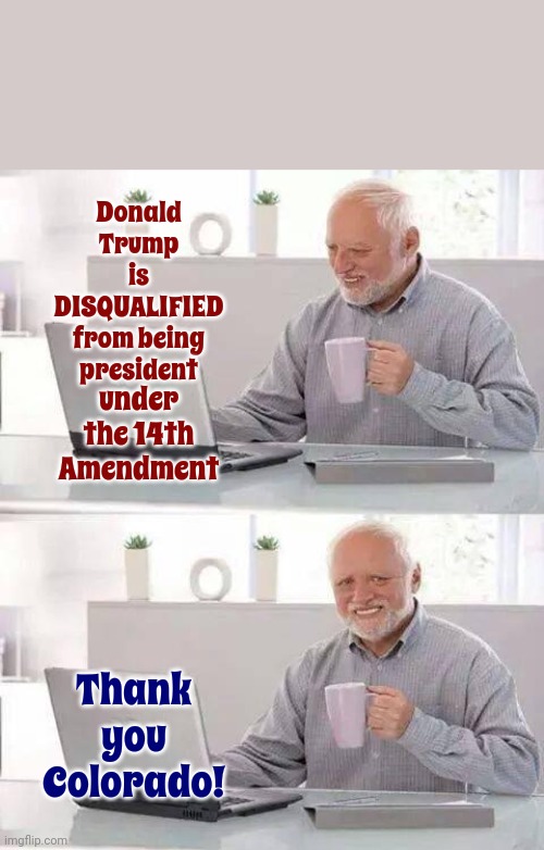 Finally Someone's Stating The Obvious | Donald Trump is DISQUALIFIED from being president; under the 14th Amendment; Thank you Colorado! | image tagged in memes,hide the pain harold,scumbag trump,scumbag maga,scumbag republicans,14th amendment | made w/ Imgflip meme maker