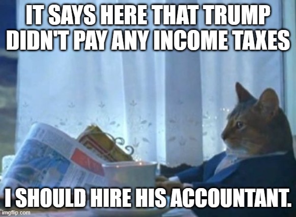 I Should Buy A Boat Cat Meme | IT SAYS HERE THAT TRUMP DIDN'T PAY ANY INCOME TAXES I SHOULD HIRE HIS ACCOUNTANT. | image tagged in memes,i should buy a boat cat | made w/ Imgflip meme maker